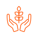 crop loan